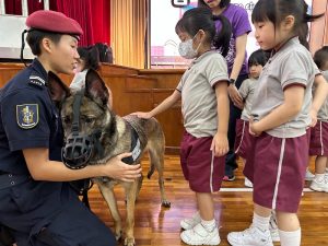 〔2023-07-06〕本校幼稚園邀請治安警警犬組到校表演