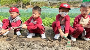 〔2024-03-12〕本校幼稚園高班參觀金像農場