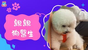 〔2026-03-24〕本校幼稚園進行狗醫生活動